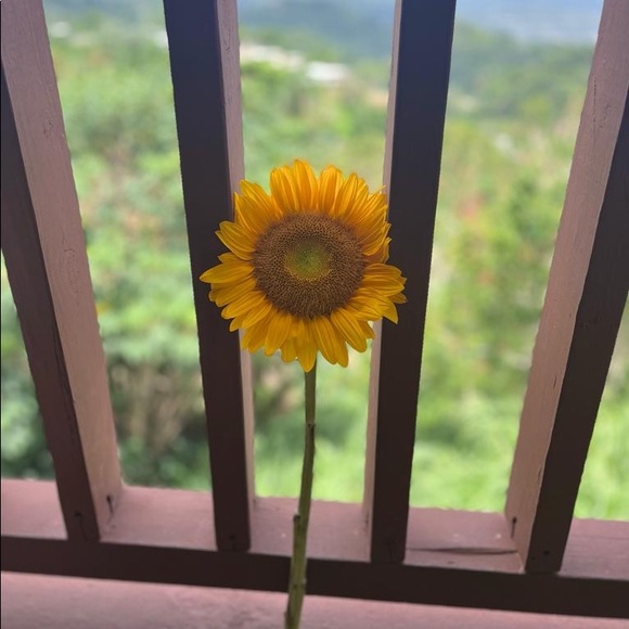 Meet Your Posher - Picture 15 of 16